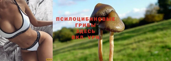 MDMA Premium VHQ Богородицк