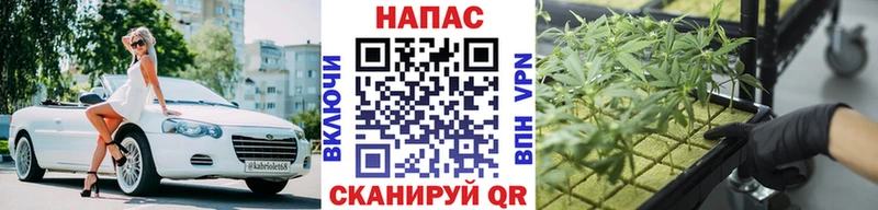 как найти   Воскресенск  площадка телеграм  Шишки марихуана VHQ 